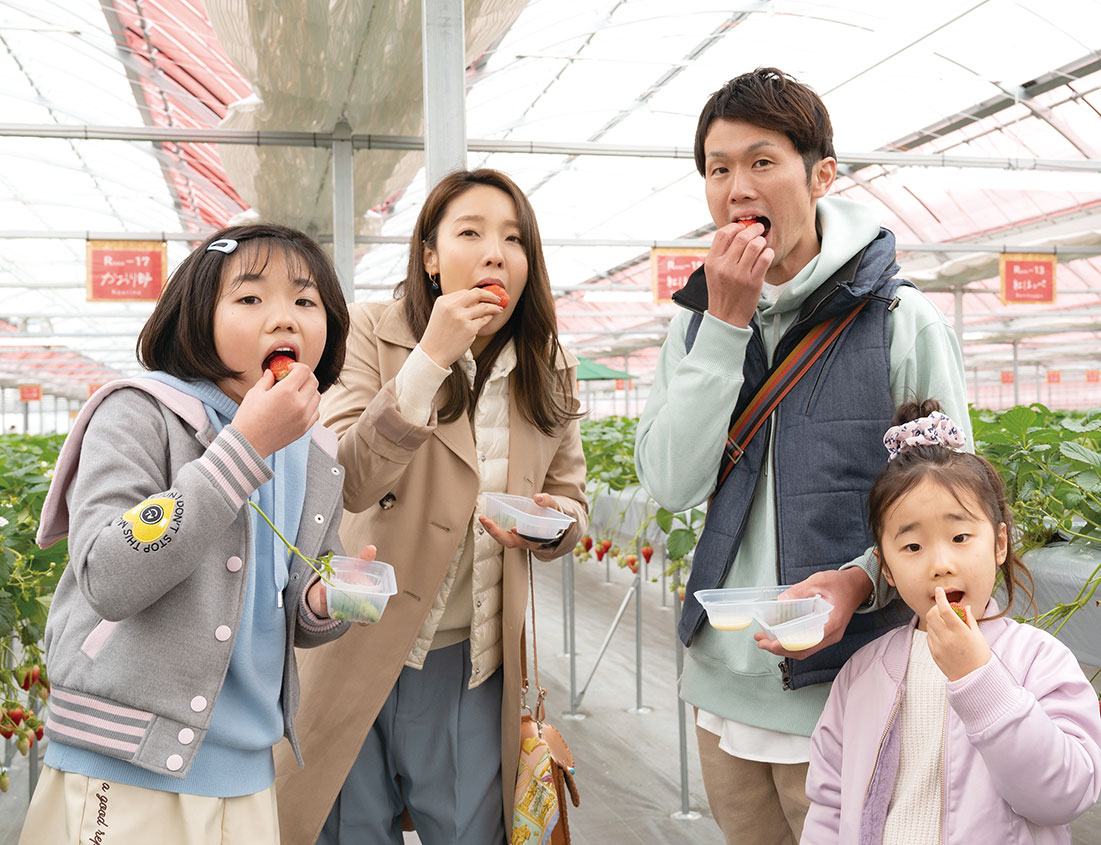 いちご狩りでいちごを食べる家族